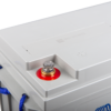 Victron Blykol 106Ah 12V